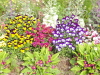 img0046.jpg