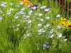 img0048.jpg