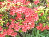 img0054.jpg