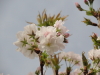 img0057.jpg