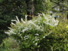 img0058.jpg