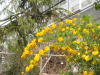 img0063.jpg