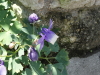 img0072.jpg