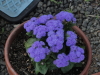 img0102.jpg