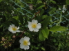 img0113.jpg