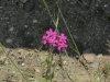 img0118.jpg