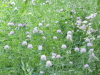 img0119.jpg