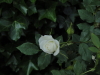 img0124.jpg