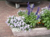 img0133.jpg