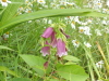 img0162.jpg