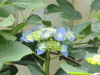 img0169.jpg