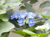 img0188.jpg