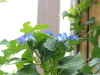 img0190.jpg