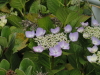 img0193.jpg