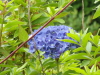 img0206.jpg