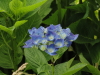 img0214.jpg