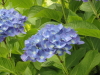 img0216.jpg