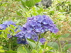img0224.jpg