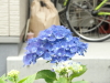 img0225.jpg