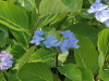 img0228.jpg
