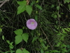 img0251.jpg