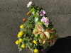 img0267.jpg
