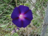 img0274.jpg