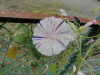 img0278.jpg