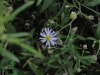 img0281.jpg