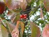 img0285.jpg