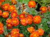img0289.jpg