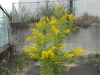 img0293.jpg