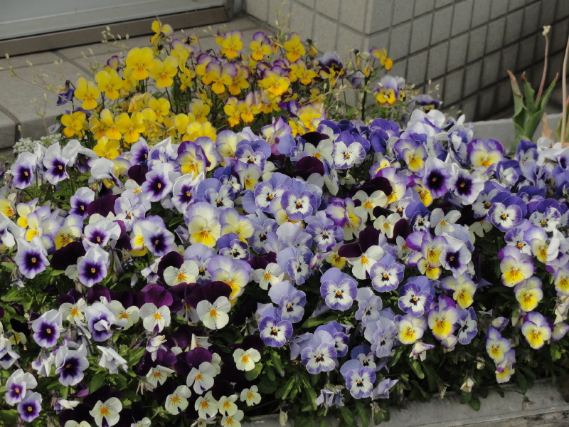 img0115.jpg
