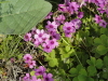 img0094.jpg