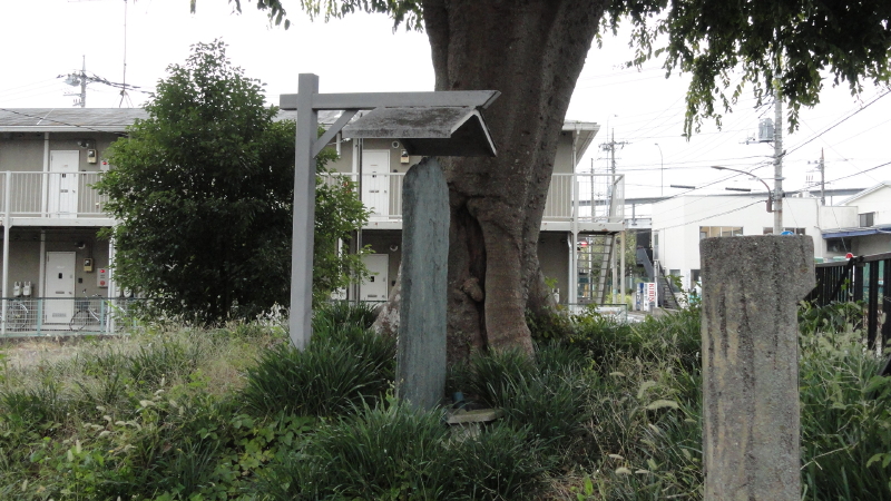 img0003.jpg