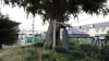 img0001.jpg
