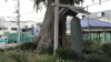 img0002.jpg