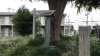 img0003.jpg