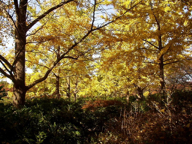 img0001.jpg