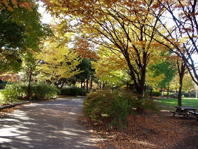 img0002.jpg