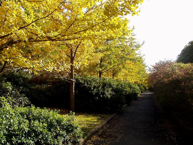 img0003.jpg