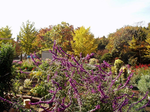 img0004.jpg