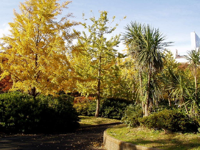 img0006.jpg