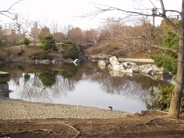img0010.jpg