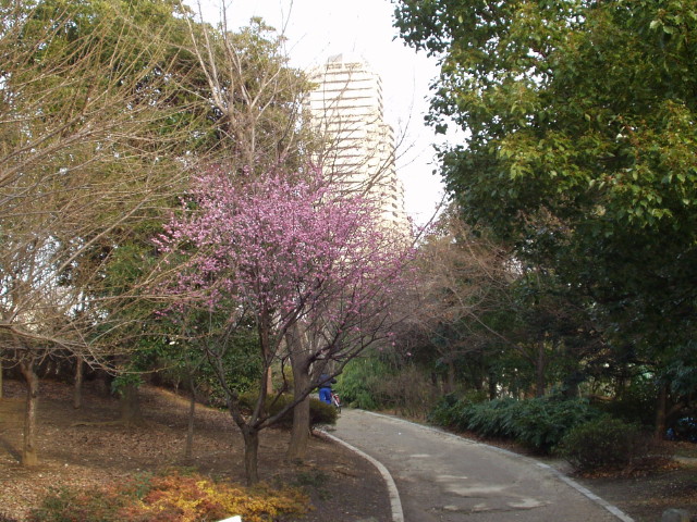 img0012.jpg