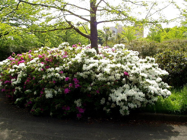 img0017.jpg