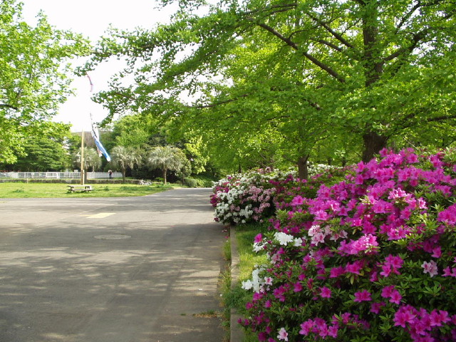 img0018.jpg