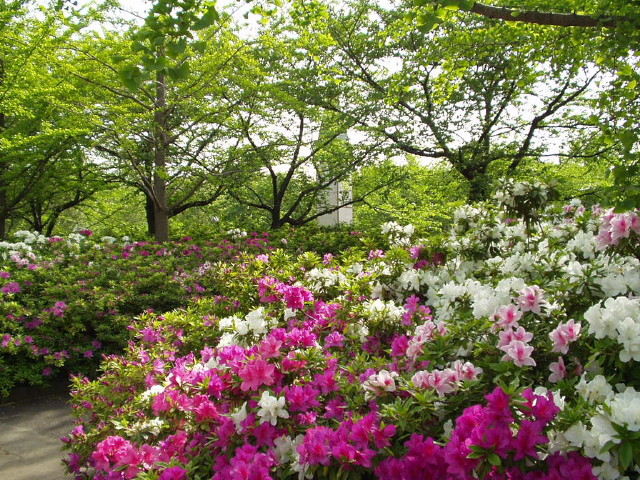 img0019.jpg