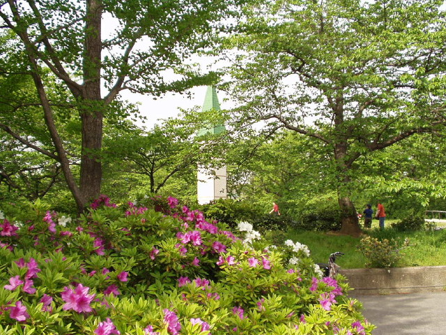 img0021.jpg