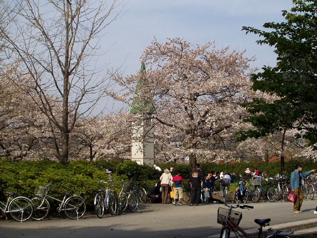 img0023.jpg